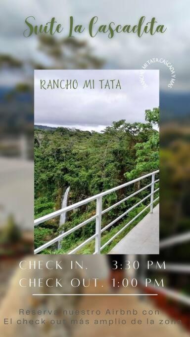 Frente A La Cascada