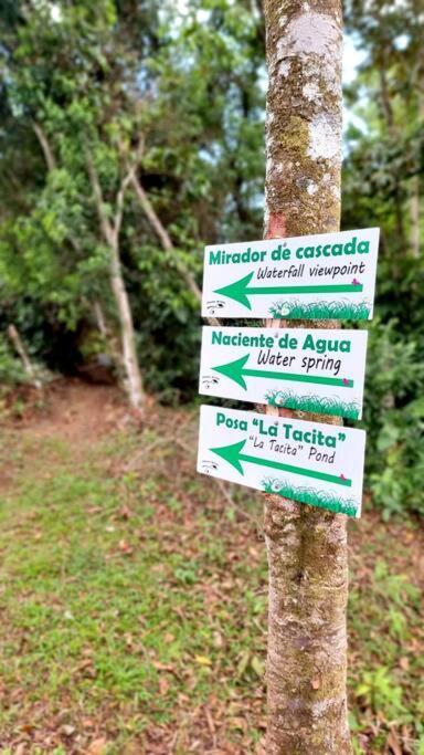 Frente A La Cascada *